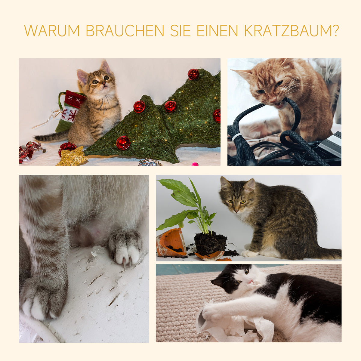 PawHut Kratzbaum Deckenhoch höhenverstellbar, stabiler Katzenbaum mit Sisalsäulen, Katzen Kletterbaum, Braun, 40 x 34 x 230-260 cm