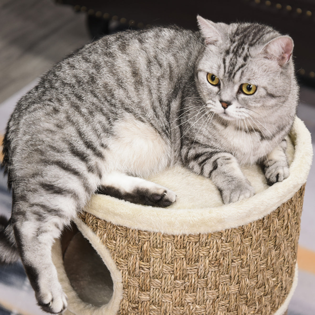 PawHut Kratztonne, Höhe 70 cm, Katzenkratzbaum für katzen 3 Ebenen Katzenbaum Kletterbaum Katzenmöbel mit Sisal Plüsch