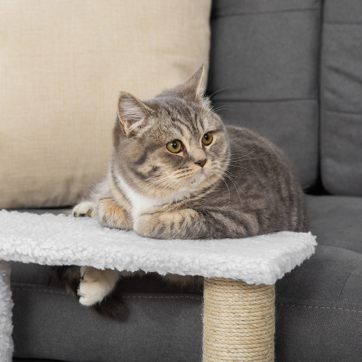 PawHut Katzentreppe 3-stufige Haustiertreppe mit Kratzsäulen Ball Hundetreppe Tiertreppe für Katzen bis 5 kg Plüsch Jute Weiß 45 x 40 x 48 cm