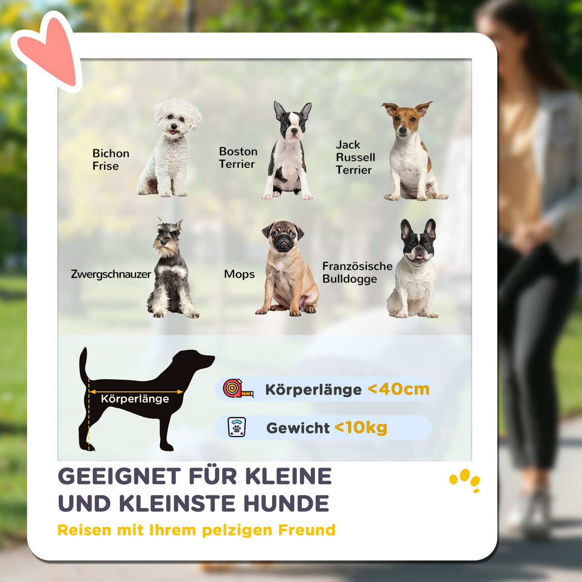 PawHut Hundewagen, Leichter und faltbarer Transportwagen für kleine Hunde, waschbares Kissen, Netzfenster, Grau