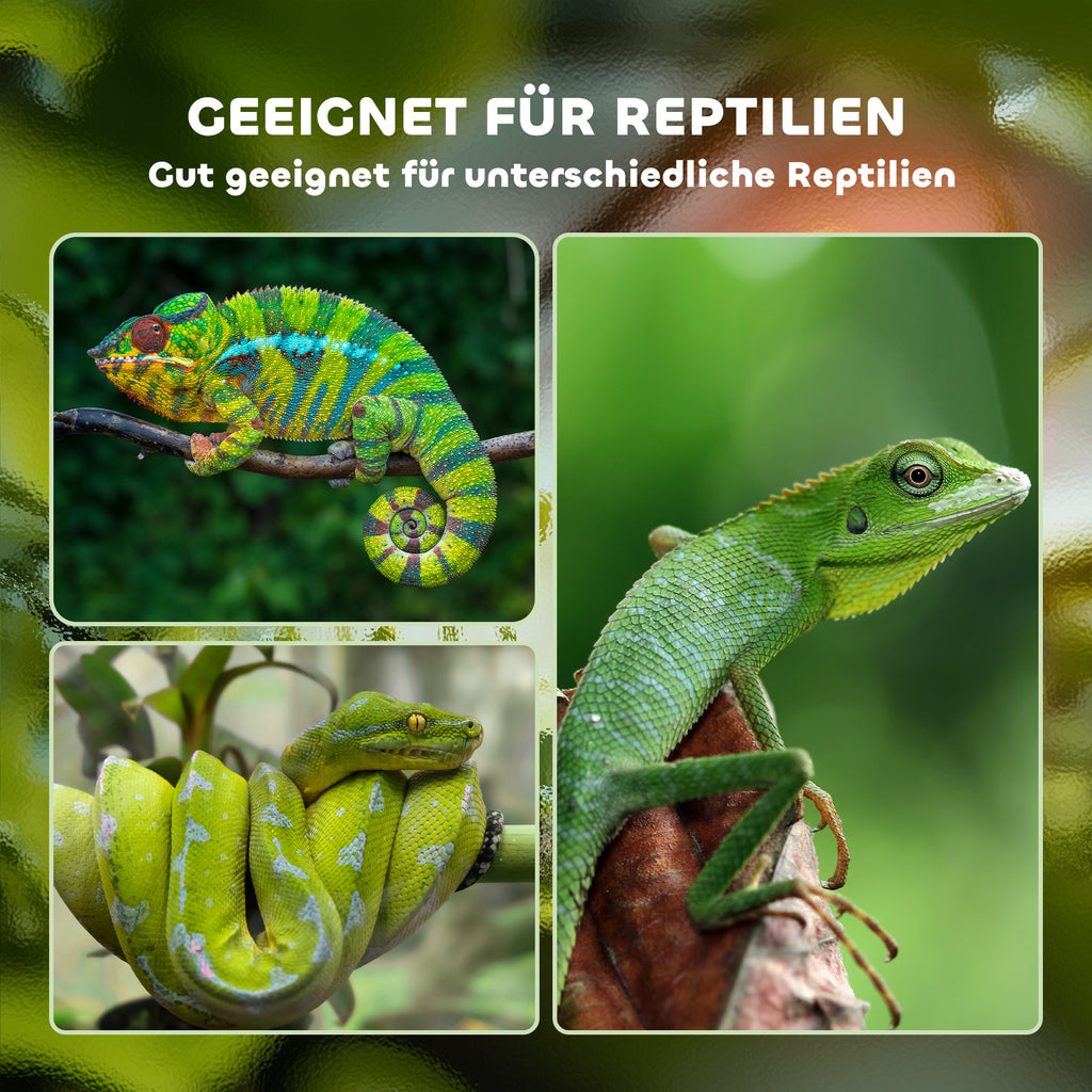 PawHut Terrarium aus Aluminium für Reptilien Amphibien Spinnentiere Reptilienzuchtbox Mesh-Terrarium Weiß+Silber+Schwarz 120 x 40 x 40 cm
