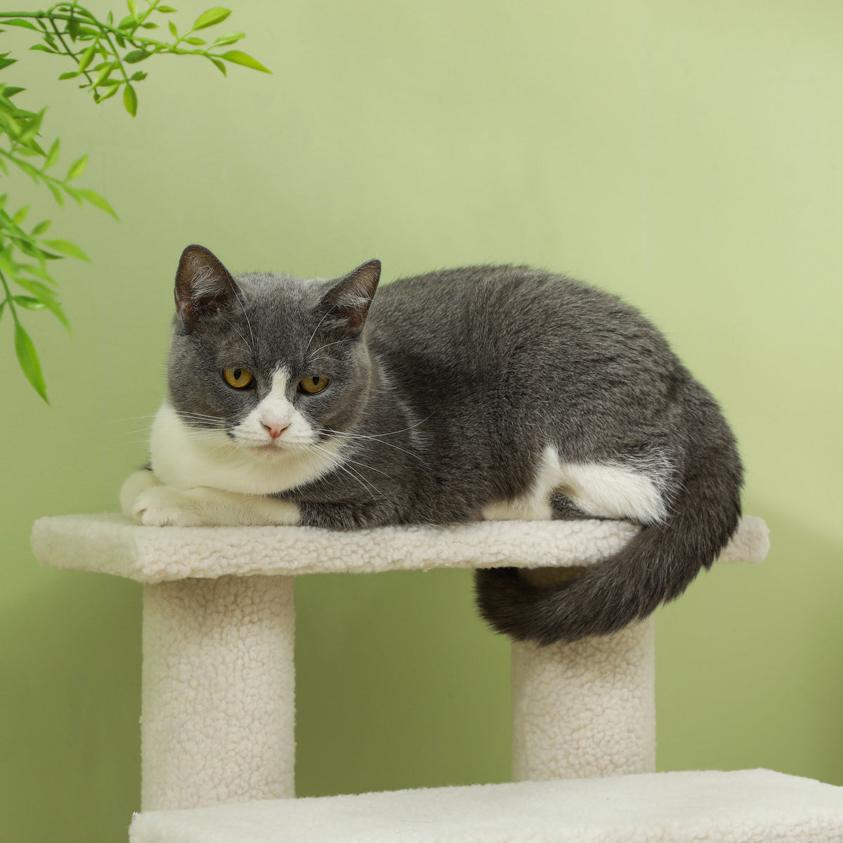 PawHut Tiertreppe Katzentreppe Hundetreppe Treppe für Katze und Hunde 4 Stufen Cremeweiß 63,5x43x60cm
