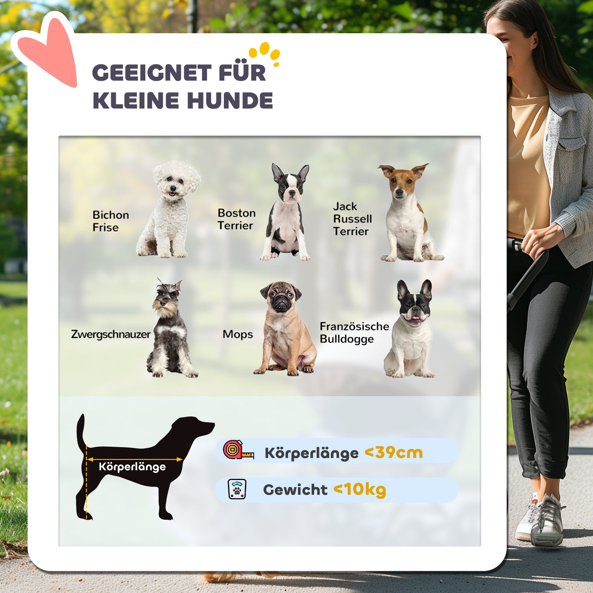 PawHut Hundebuggy, Haustierwagen für kleine Hunde und Katzen, mit Aufbewahrungskorb, Ein-Klick-Faltdesign, Türkis