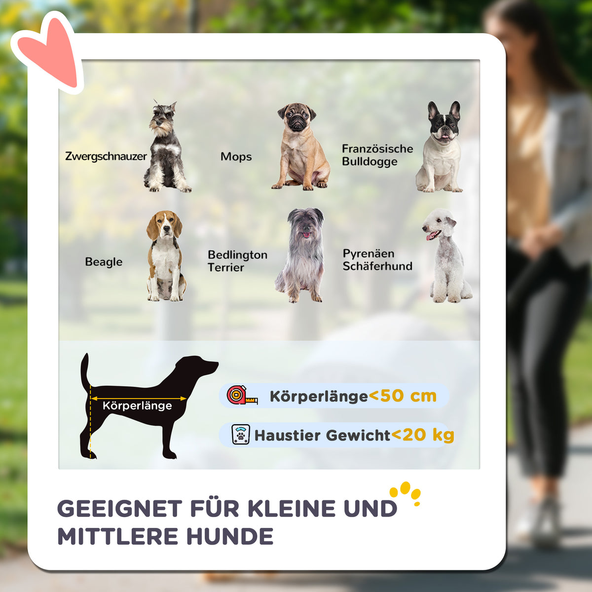 PawHut Hundebuggy Hundewagen bis 20 kg Klappbar 3 Seitentasche 102 cm x 62 cm x 105 cm Grau